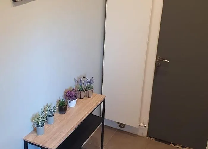 Appartement Le Loft A Le Chatel
